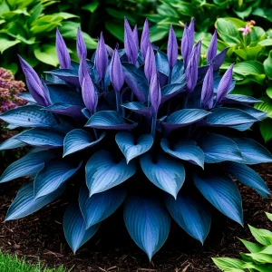 Хоста Сикрет Гров купить по цене от 570р. в интернет-магазине «Посадика» с доставкой почтой в в Новочебоксарске и по всей России – [изображение №1].